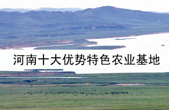 8月19日，河南省政府發(fā)布了關(guān)于深入推進農(nóng)業(yè)供給側(cè)結(jié)構(gòu)性改革 大力發(fā)展優(yōu)勢特色農(nóng)業(yè)的意見