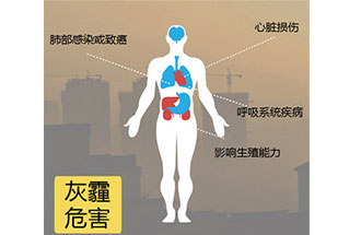 空氣中PM2.5 是由什么物質(zhì)組成的？