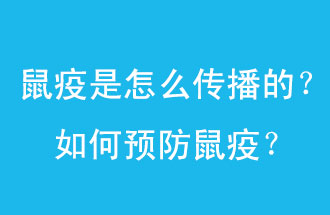 鼠疫是怎么傳播的？如何預(yù)防鼠疫？